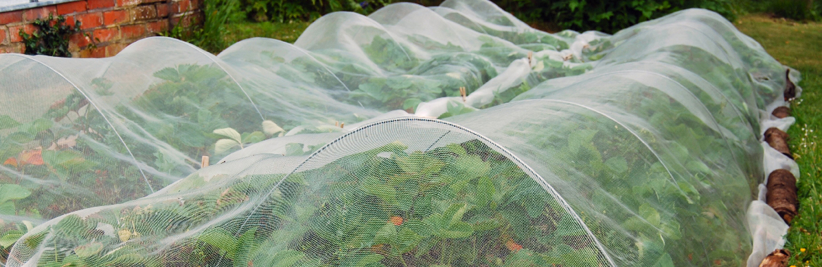 Nets for plant gardens