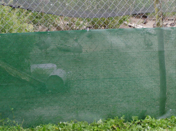 Embossed wind screens