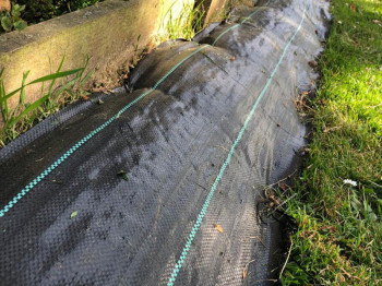 Crop cover  - Black - 100gr/m²