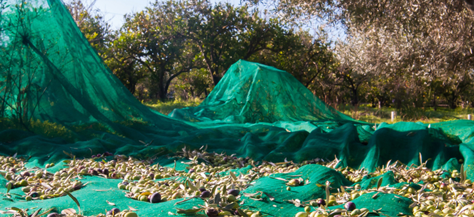 Crop net