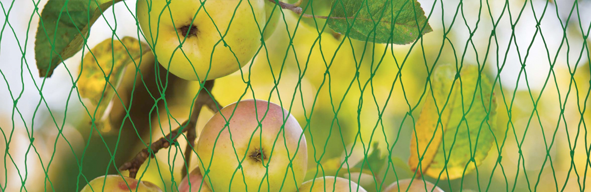 Home and garden nets