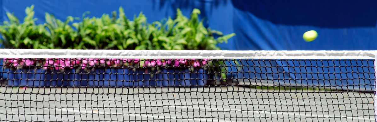 Sports nets
