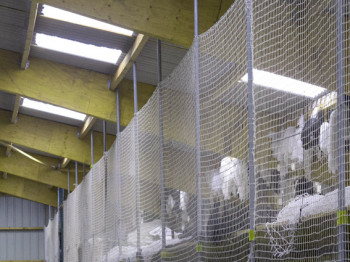 Net for racks - 100 mm eyelets