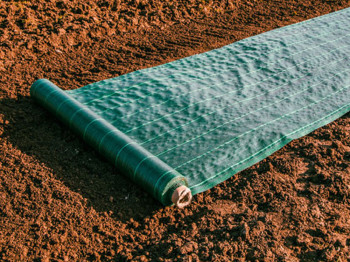 Non-woven crop cover - Green  - 100gr/m² - Custom-made