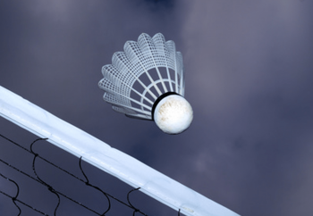 Badminton net